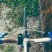 masal