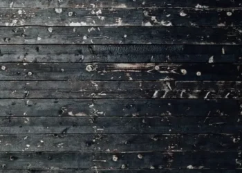 100 Yıllık Ama 10 Yıl Yaşamış