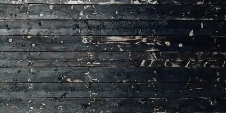 100 Yıllık Ama 10 Yıl Yaşamış