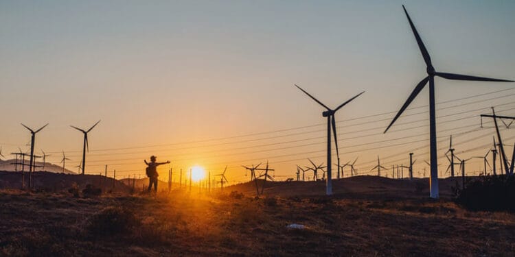 Dört Rüzgar Ve Bir Adım