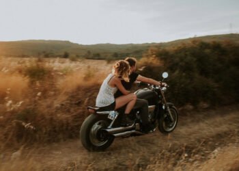 Kanatlı Filin Kulakları