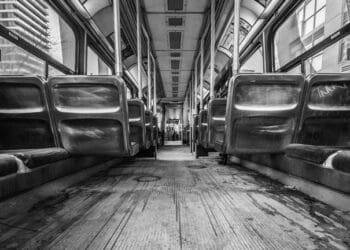 Gölgenin Işığı Güneşin Hatırası