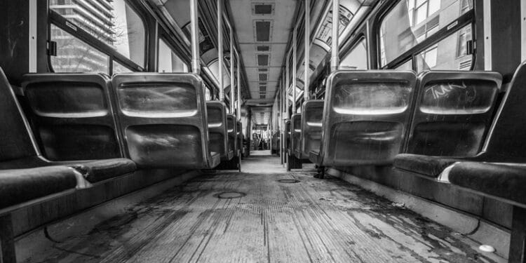 Gölgenin Işığı Güneşin Hatırası