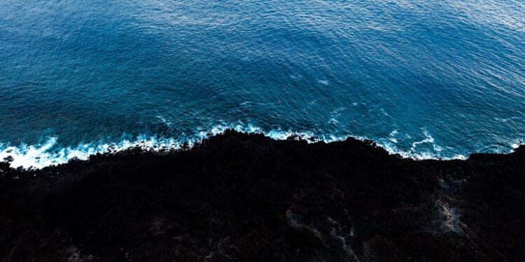 Bir Çift Tek Aşk 5