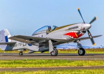 Rüzgar Çiçeği – Gökyüzü Adası