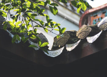 Almış Bizi Saçaklarına